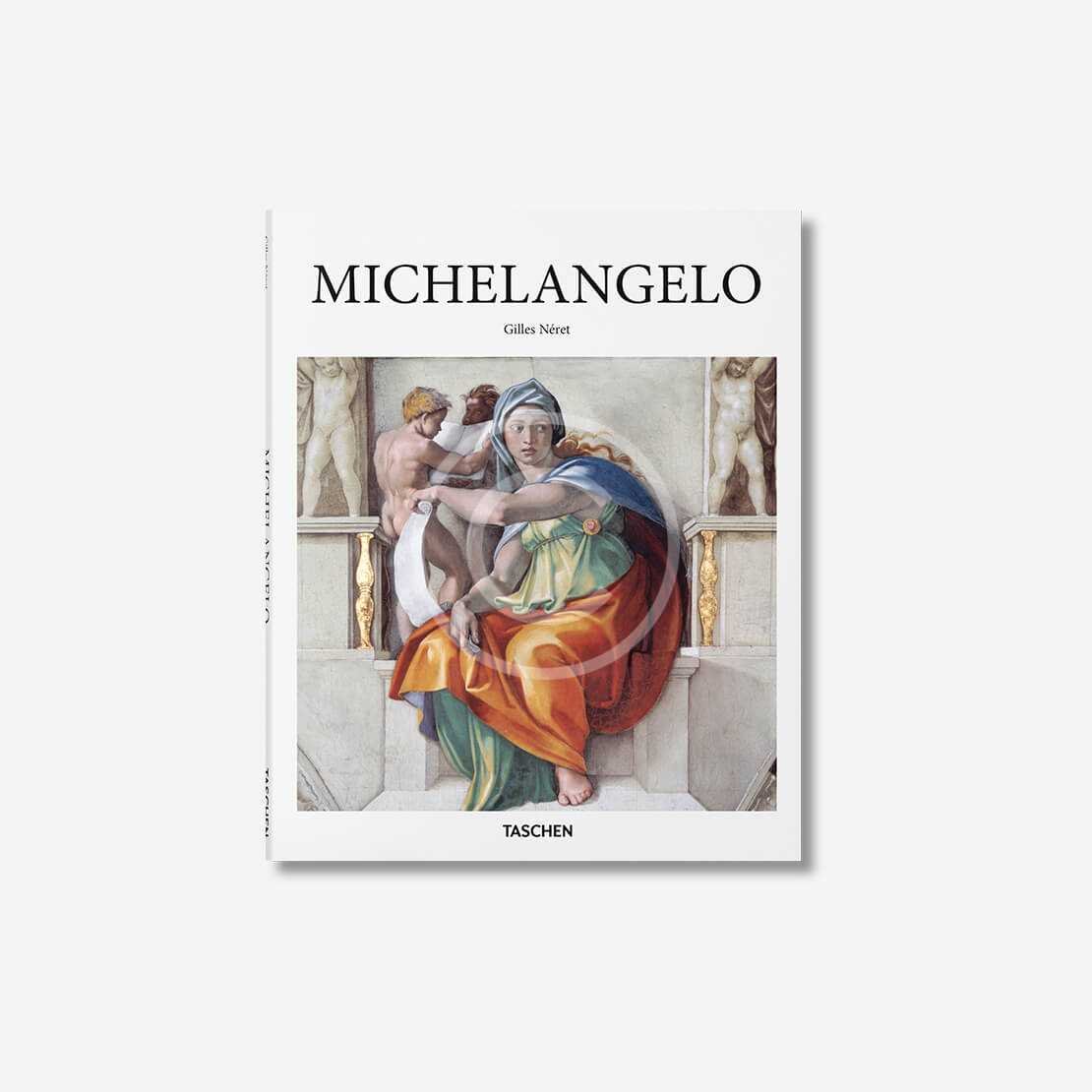 Michelangelo Book