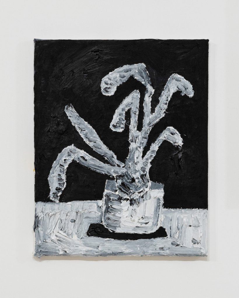 Dario Molinaro - Still life